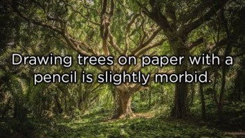 60 Of The Best Damn Photos On The Internet This Afternoon