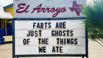 61 Of The Best Damn Photos On The Internet This Afternoon