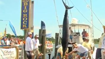 16-Year-Old Reels In 400-Pound Marlin During North Carolina Tournament