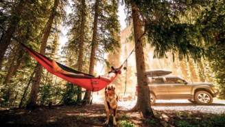 Hang This Comfy Camping Hammock Anywhere Anytime With Its Handy Suspension System (20% OFF)