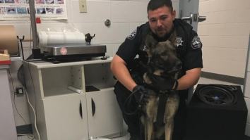 A Very Good Boy Sniffs Out 113 Pounds Of Meth, Spearheads Drug Bust Worth Over $1 Million