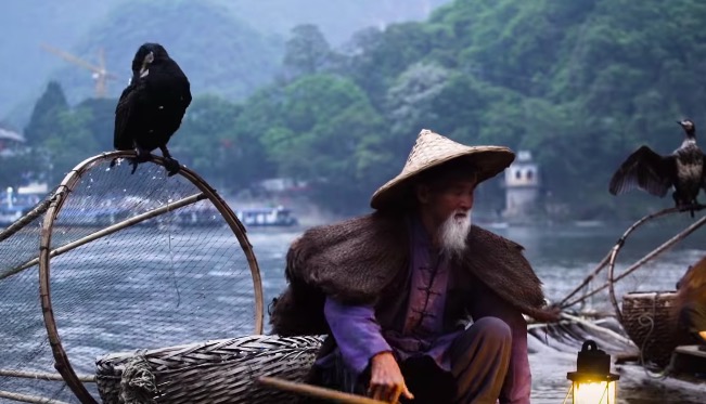 Fishing with birds wild china Clearance