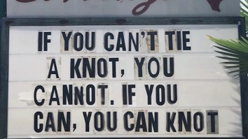 57 Of The Best Damn Photos On The Internet This Morning