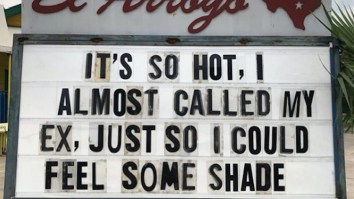 60 Of The Best Damn Photos On The Internet This Afternoon