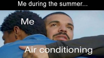 60 Of The Best Damn Photos On The Internet This Afternoon