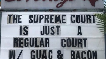 60 Of The Best Damn Photos On The Internet This Afternoon