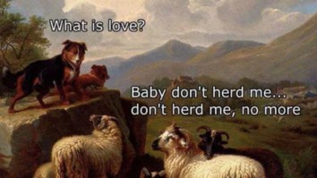 60 Of The Best Damn Photos On The Internet This Afternoon