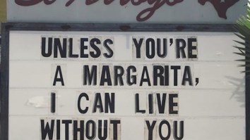 57 Of The Best Damn Photos On The Internet This Morning