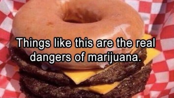 60 Of The Best Damn Photos On The Internet This Afternoon