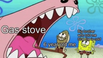 60 Of The Best Damn Photos On The Internet This Afternoon