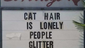 57 Of The Best Damn Photos On The Internet This Morning