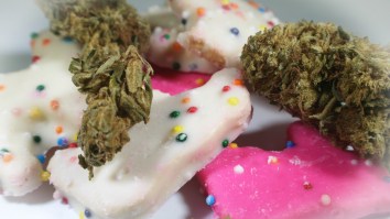 Researchers Have Figured Out The Scientific Reason Why Weed Causes The Munchies