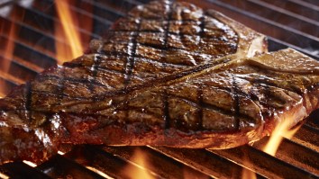 Call This Free Hotline For Grilling Advice From America’s Top Grill Masters So Your July 4th BBQ Doesn’t Suck