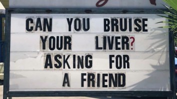 42 Of The Best Damn Photos On The Internet This Morning