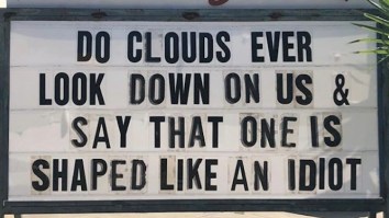 42 Of The Best Damn Photos On The Internet This Morning