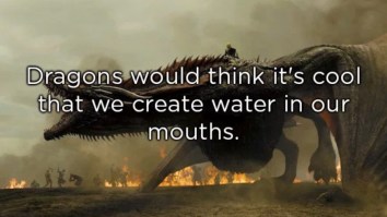 60 Of The Best Damn Photos On The Internet This Afternoon