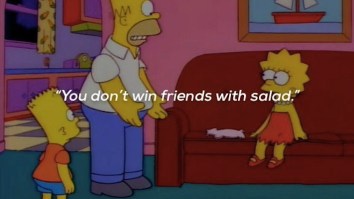 43 Of The Best Damn Photos On The Internet This Afternoon