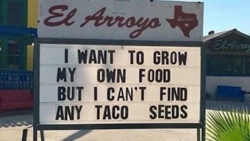 57 Of The Best Damn Photos On The Internet This Morning