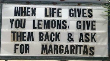 42 Of The Best Damn Photos On The Internet This Morning