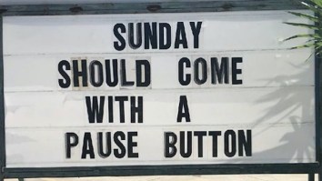 42 Of The Best Damn Photos On The Internet This Morning