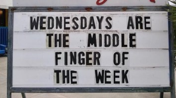 42 Of The Best Damn Photos On The Internet This Morning