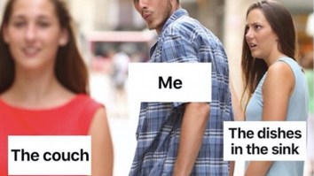 43 Of The Best Damn Photos On The Internet This Afternoon