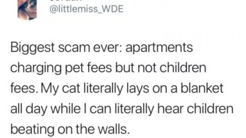 45 Of The Best Damn Photos On The Internet This Afternoon