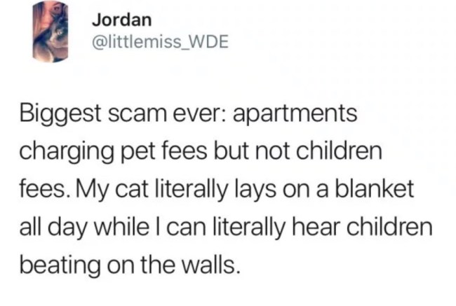 45 funniest memes 2018 best of