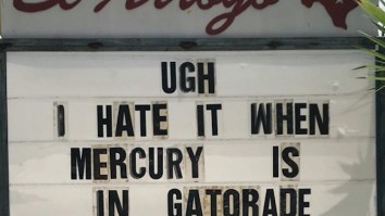 42 Of The Best Damn Photos On The Internet This Morning