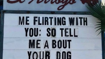 42 Of The Best Damn Photos On The Internet This Morning