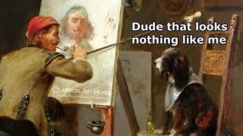 43 Of The Best Damn Photos On The Internet This Afternoon