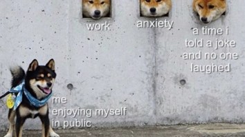 43 Of The Best Damn Photos On The Internet This Afternoon