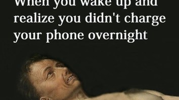 43 Of The Best Damn Photos On The Internet This Afternoon