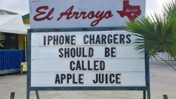 42 Of The Best Damn Photos On The Internet This Morning