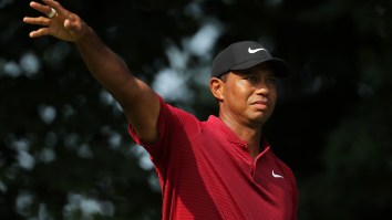 How Many Golf Shots Would It Take For Tiger Woods To Earn Your Salary? This Calculator Tells You And It’s Depressing AF