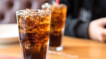 What Diet Soda Does To Your Body And Brain Is Absolutely Awful
