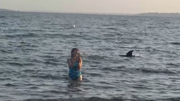 ‘You Guys Are Going To Hell For This’— Guy Hilariously Trolls Beachgoers With A Remote Controlled Shark Fin