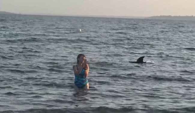 shark attack prank
