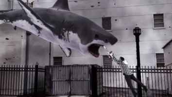 Remembering The 5 Craziest Moments From The ‘Sharknado’ Series Before The Final Movie Airs On Sunday
