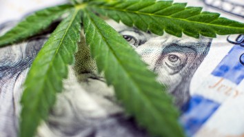 Wall Street Analyst Claims The Legal Marijuana Industry Could Be Worth $47 Billion In The U.S.