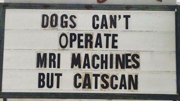 42 Of The Best Damn Photos On The Internet This Morning