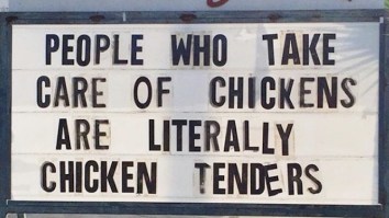 42 Of The Best Damn Photos On The Internet This Morning