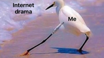 43 Of The Best Damn Photos On The Internet This Afternoon