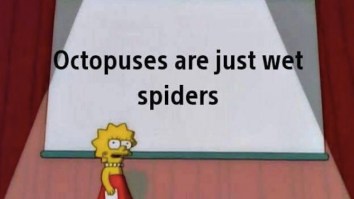 43 Of The Best Damn Photos On The Internet This Afternoon