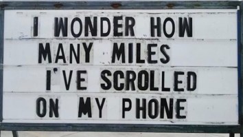 42 Of The Best Damn Photos On The Internet This Morning