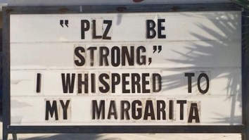 42 Of The Best Damn Photos On The Internet This Morning