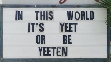 42 Of The Best Damn Photos On The Internet This Morning