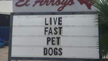 42 Of The Best Damn Photos On The Internet This Morning