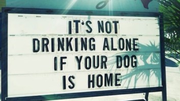 42 Of The Best Damn Photos On The Internet This Morning