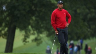 Anonymous Survey Reveals What PGA Tour Pros Really Think About Tiger, Trump, Gambling, Cheating And More